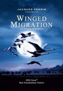 迁徙的鸟/鸟的迁徙/鸟与梦飞行/Le peuple migrateur