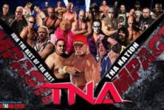 TNA X组别冠军决赛/TNA Slammiversary XI